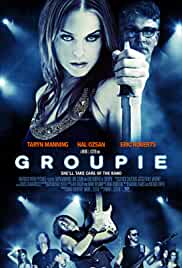 Groupie 2010 Hindi Dubbed 480p Filmy4WEB