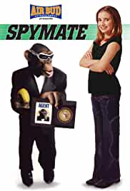 Spymate 2003 Hindi Dubbed 480p Filmy4WEB